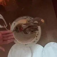 پ ن ک ه قدیمی و آباژور|پنکه و تصفیهکنندهٔ هوا|گرگان, |دیوار