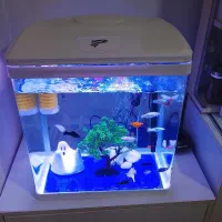 آکواریوم ماهی