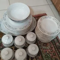 ظروف سرو غذا