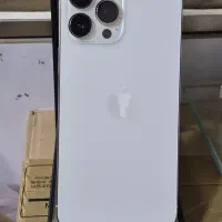 13promax
