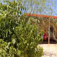 باغ-ویلامسکونی-آب-برق-گاز-استخرآبگرم-چسبیده-به-شهر