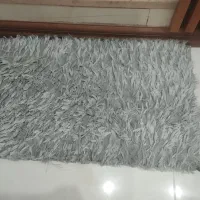 دوتا پادری شگی