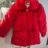 پالتوخزدار