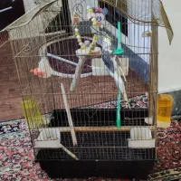 قفس پرنده بزرگ و سالم|لوازم جانبی حیوانات|ارومیه, |دیوار