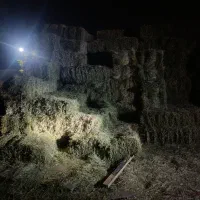 یونجه|لوازم جانبی حیوانات|بروجرد, |دیوار