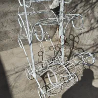 جا گلدانی|گل و گیاه طبیعی|شاهین دژ, |دیوار