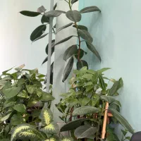 ادمین حرفه ای