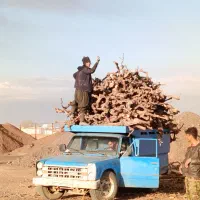 خرید چوب