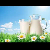 لبنیات محلی