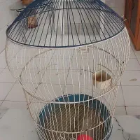 قفس|لوازم جانبی حیوانات|شیراز, پودنک|دیوار