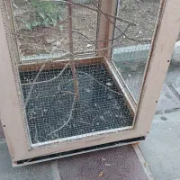 قفس چوبی