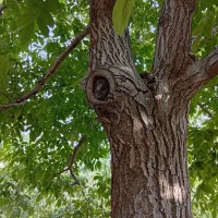 فروش-باغ-زمین-مسکونی-ویلایی
