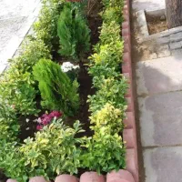 خدمات باغبانی گلکاری کاشت گل تعویض خاک گلدان