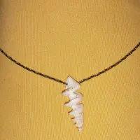 فروش پلاک صدف دریایی|بدلیجات|قائم‌شهر, |دیوار