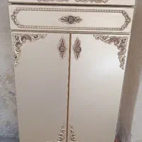 جاکفشی سالم