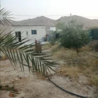 باغ شهری حسن لری 1000 متری قابل معاوضه|فروش زمین و ملک کلنگی|لار, |دیوار