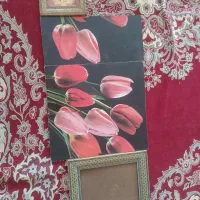 لوازم برقی  و غیره|تلفن رومیزی|اصفهان, پل شریعتی|دیوار