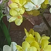 گل شکوفه بهاری|گل مصنوعی|اندیشه, اندیشه فاز ۱|دیوار