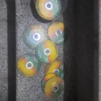 اصیل برمینی