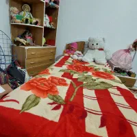 سرویس خواب یک نفره|تخت و سرویس خواب|کرمان, |دیوار