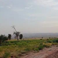 سه-هکتار-زمین-کشاورزی-اجاره-داده-می-شود