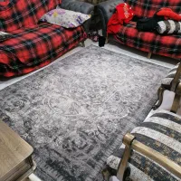 فرش ابریشمی فرانسوی ۶ متری و ۴ متری