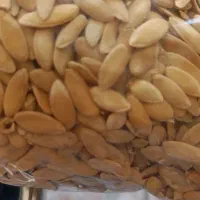 تخمه طالبی