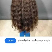 فروش وخرید مو