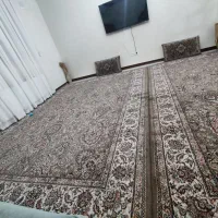 پاتریس3×4