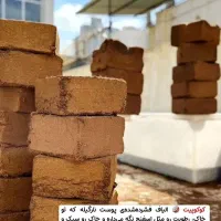 خاک گل درجه (1) گل ناز|گل و گیاه طبیعی|درگزین, |دیوار