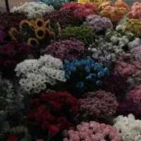 فروش مانتو پاییزی