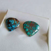 جفت اشکی نیشابوری