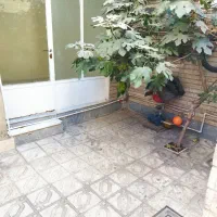 خونه همکف حیاط دار بدون پله ۵۰ متری|اجارهٔ خانه و ویلا|تهران, جوادیه|دیوار