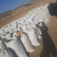 کاه گندم|خدمات باغبانی و درختکاری|مسجد سلیمان, |دیوار