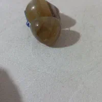 مهره سلیمانی