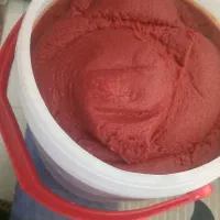 رب گوجه