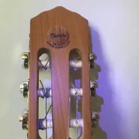 گیتار کلاسیک ۲۰۱۱ DALAHU‌..مثل نو -اماده تست حضوری|گیتار، بیس، امپلیفایر|پیشوا, |دیوار