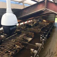 برقکار،کمک نصاب دوربین مداربسته،دزدگیر،جک|استخدام صنعتی، فنی، مهندسی|تهران, پاسداران|دیوار