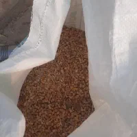 دان مانده در بشقابی مرغداری