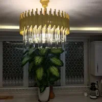 مدل های نئوکلاسیک،زیبایی و پر نور،کف قیمت