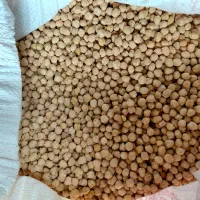 نخود محلی زود پز