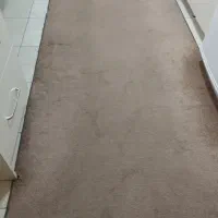 موکت|موکت|همدان, |دیوار