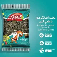 استخدام ویزیتور