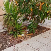 فروش-دو-خوابه-نوساز-کلید-نخورده-مستر-دار