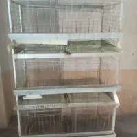 قفس مکانیزه مرغ سه طبقه