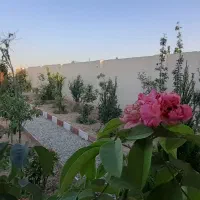 معاوضه-باغچه-فقط-با-پرشیا