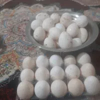 تخم بوقلمون