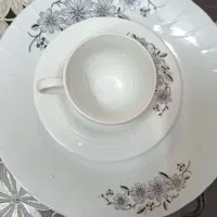 سرویس چینی|ظروف سرو و پذیرایی|قزوین, |دیوار