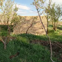 زمین کشاورزی