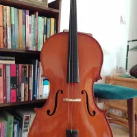 فروش ویولنسل تی اف 132 سایز 4/4